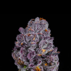 Lemon Cherry Pie - Seeds