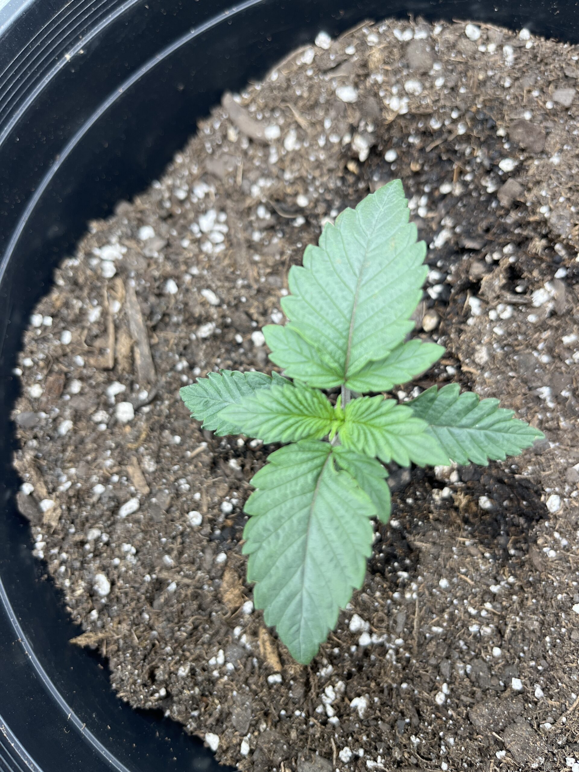 Started one of these March 1st I’ll keep It updated!