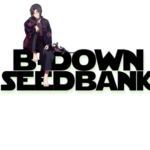 Profile picture of BdownSeedBank