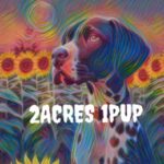 Profile picture of 2acres1pup